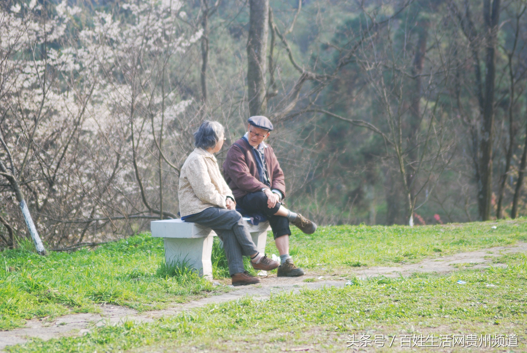 贵阳哪里的森林公园最好耍,贵阳八景