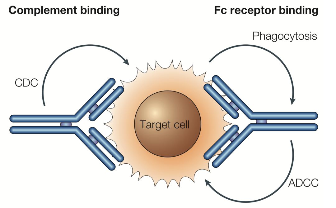 重磅首个国产新冠口服药获批上市,国产pd1免疫制剂什么时候上市