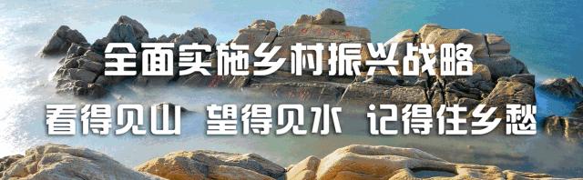 「要闻」大冷天，岚山刮起一场“头脑风暴”这个产业将迎来发展春天！