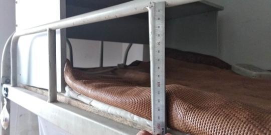 大学宿舍床围栏多高,学校床铺护栏标准尺寸