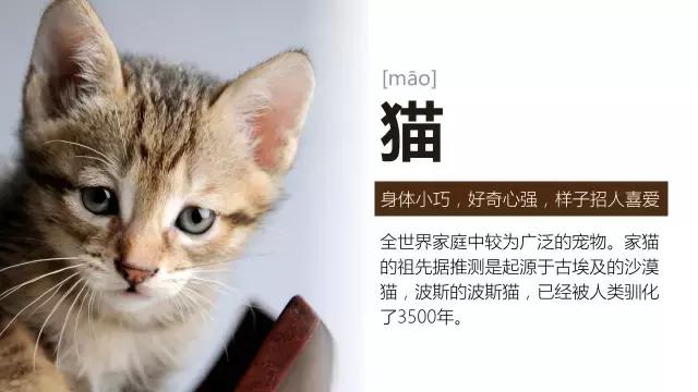 6招教你怎么做ppt,六招教你搞定ppt汇报