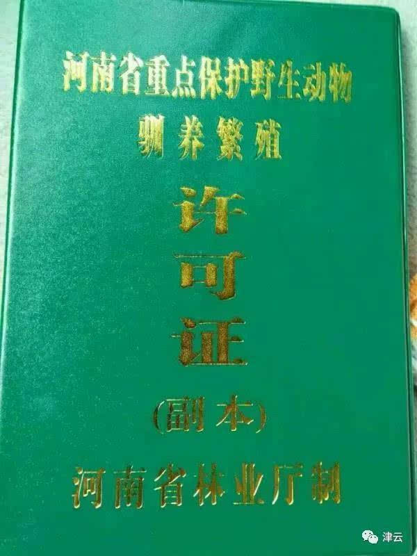 江西一家店老板被判刑,江西一老板被判刑