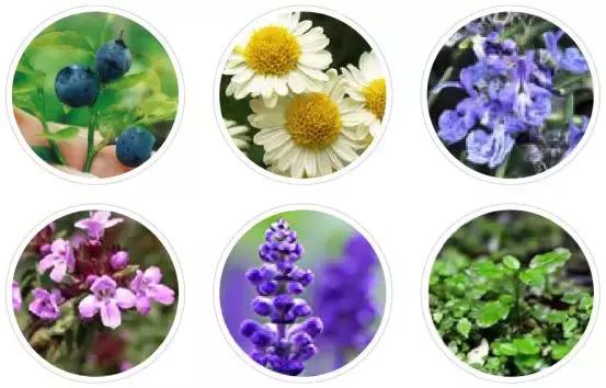 做不好这一点，身材再好穿比基尼也巨丑！