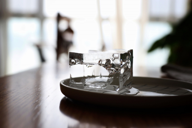 轻便全能佳能eos90d生态拍摄实战,佳能eos50自带的镜头