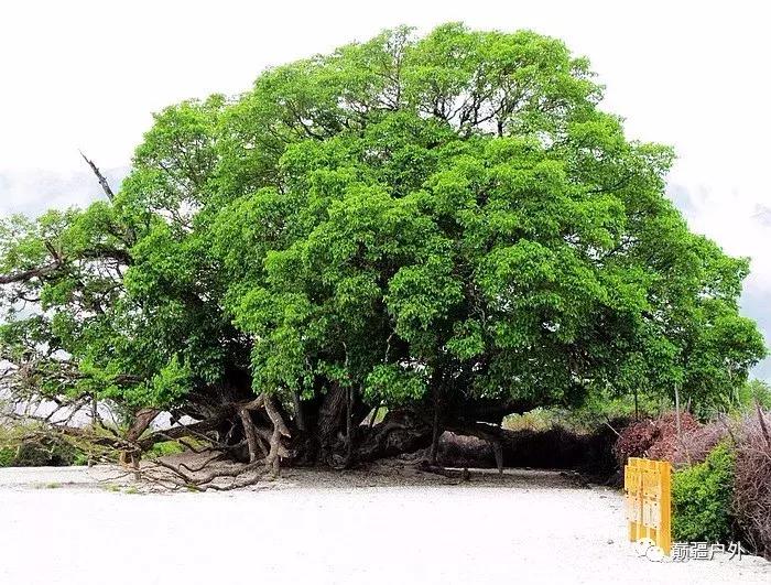中国最黑心景区,黑心导游不会带你去的旅游城市