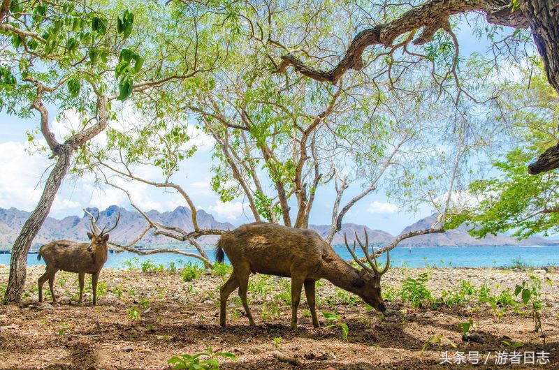 借着亚运会的眼睛来看赤道之上千岛之国的印度尼西亚