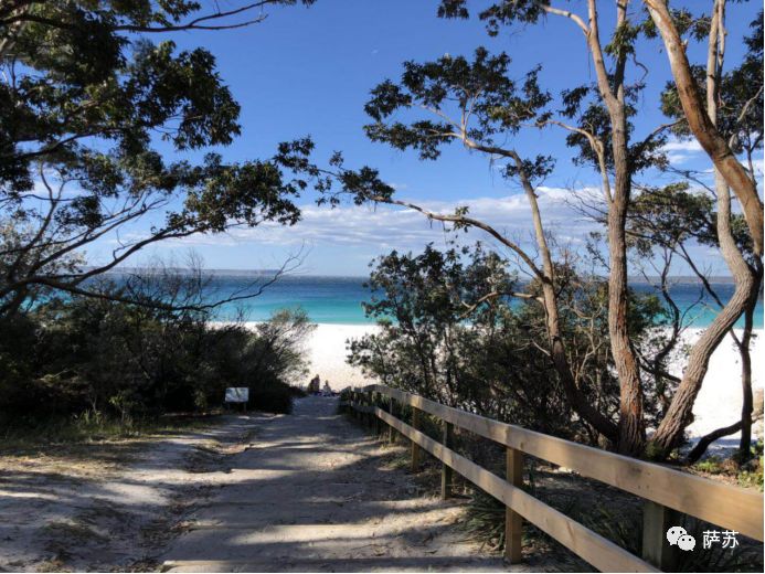 澳大利亚移民的血泪史,5000年前中国移民澳大利亚