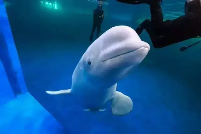 家有美景来欣赏何必外出看风景,家有美景何必远方