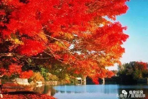 鎴戝湪灞变笢鍒氬垰濂戒綍蹇呯尽鎱曞寳涓婂箍,鎴戝湪骞胯タ鍒氬垰濂戒綍蹇呯尽鎱曞寳涓婃繁