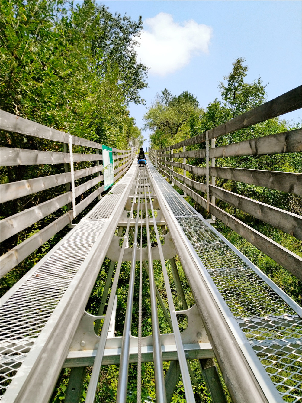乐嘉如何了解孩子的性格,乐嘉性格色彩判断孩子性格