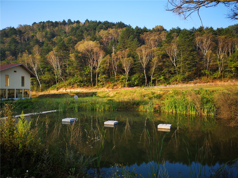 乐嘉如何了解孩子的性格,乐嘉性格色彩判断孩子性格