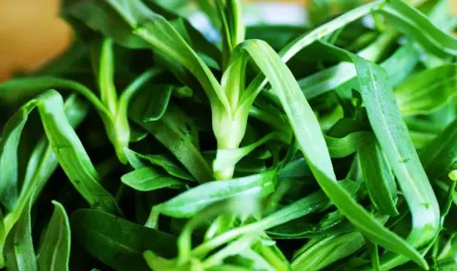 什么野菜养生最好吃,野菜纯天然有营养你知道怎么吃吗