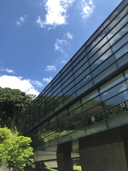 少女心必去的地方,少女心旅游必去的地方