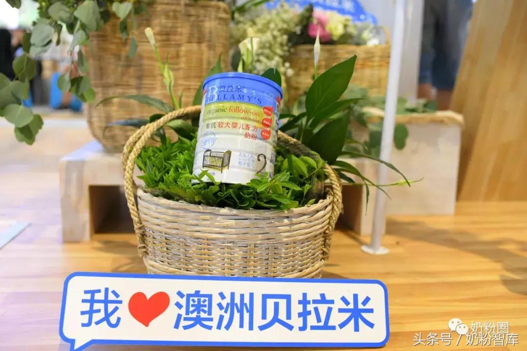 全球有机奶粉十大排行榜,全球4大有机奶粉