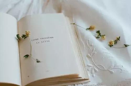 简爱的爱情观读后感,爱情和尊严免费阅读全文