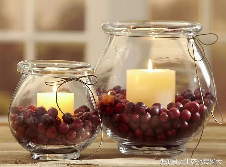 家里多余的闲置鱼缸,家里的空鱼缸处理方法