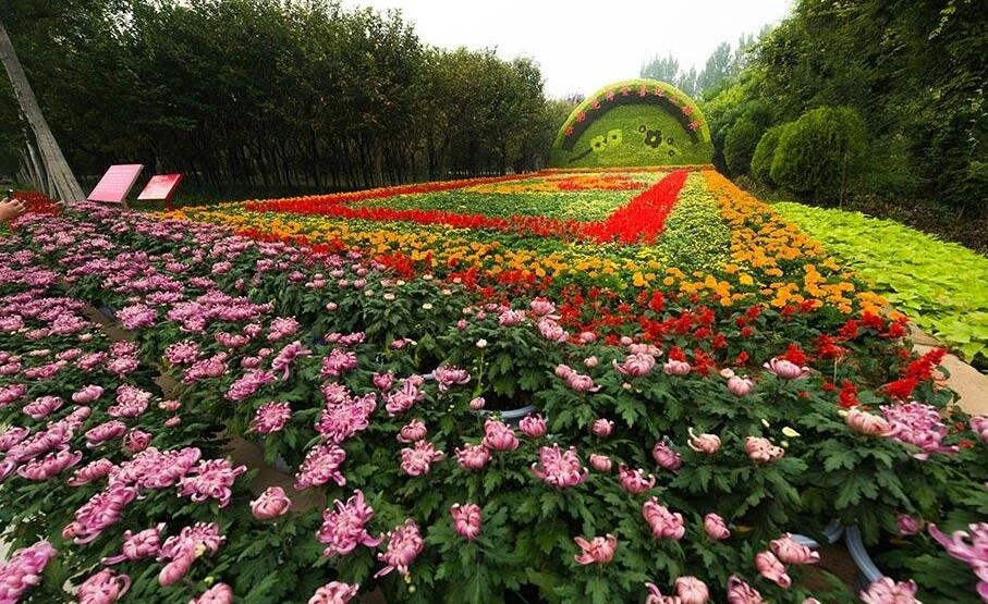 第十八届中原花木交易博览会,中原花木博览会现场直播