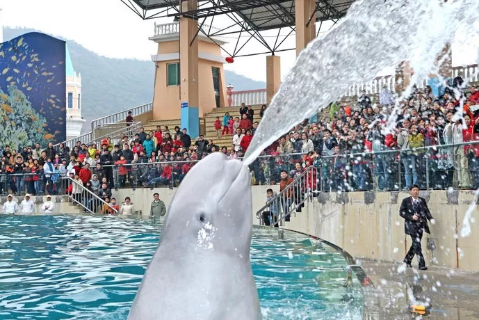 过生日省钱又划算的攻略,过生日优惠攻略