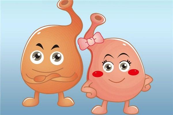 胃病的根源在于胃黏膜受损，多吃这些食物，帮你修复胃黏膜