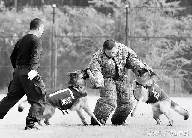 在外威风八面在家脾气全无,在外面有多威武在家就有多怂