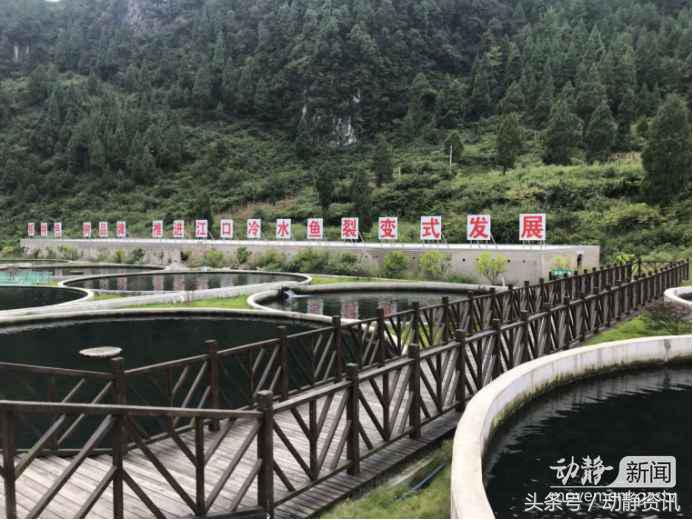 姊靛噣灞辨邯姘撮奔,姊靛噣灞遍緳娲炴硥姘撮奔