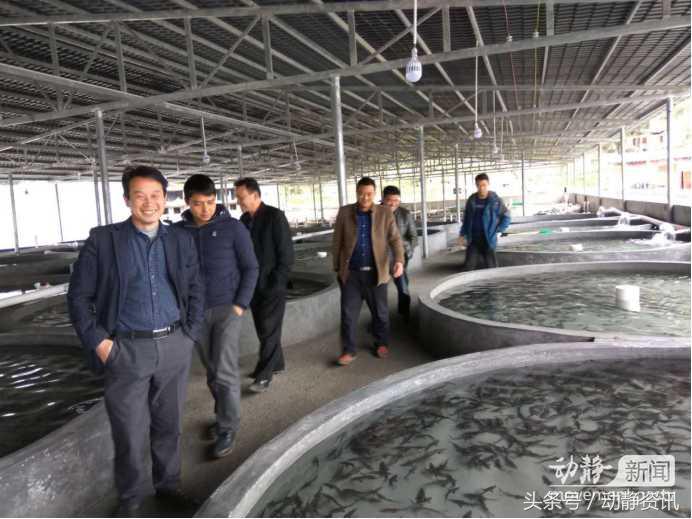 姊靛噣灞辨邯姘撮奔,姊靛噣灞遍緳娲炴硥姘撮奔