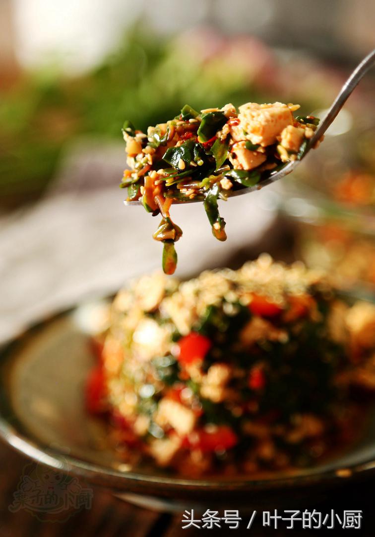 北京菜价涨得吓人，油麦菜都9.9元了！这个不花钱，抓紧要过季了