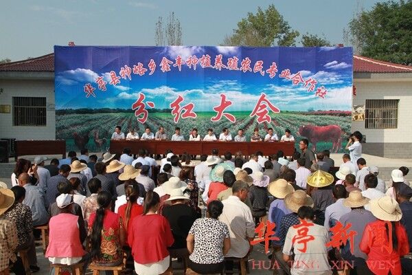 为贫困户分红800万,为贫困户发放福利