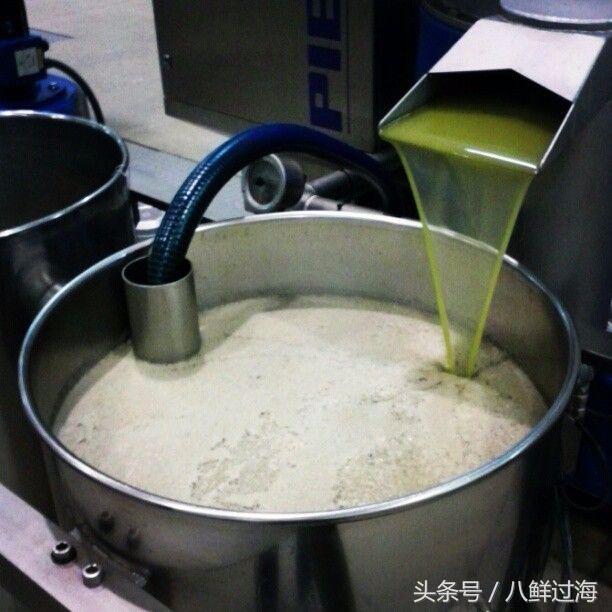 橄榄油西班牙意大利希腊,橄榄油西班牙皇室