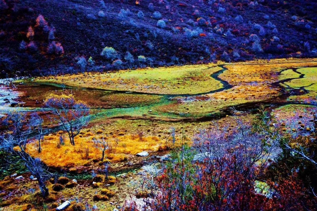 四川秋景第一名,四川欣赏秋景好去处