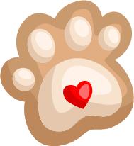 青岛护照办理最新政策,青岛市护照办理最新通知