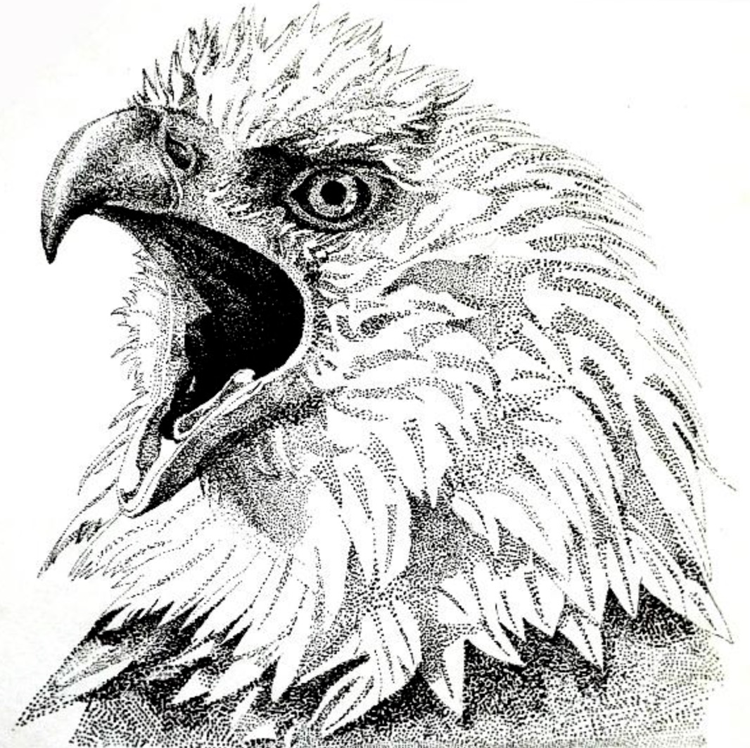 竞品投放策略常用的分析维度,陌陌和连信竞品分析