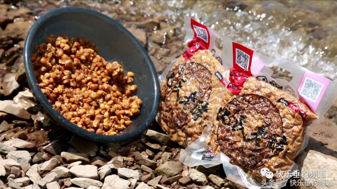 秋季钓草鱼鲤鱼绝佳饵料配方,秋季晚上钓草鱼最好的方法