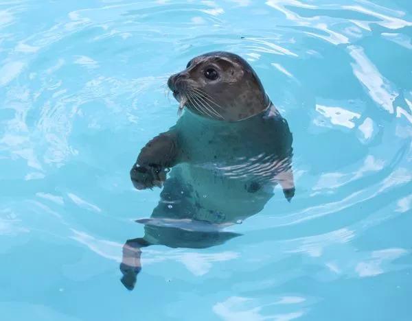 澳大利亚和新西兰旅行哪个贵,澳大利亚和新西兰怎么玩