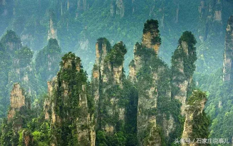 河北石家庄九价新消息,近日石家庄大量车型降价