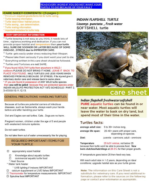 龟鳖目动物大全及图片,所有龟鳖类动物