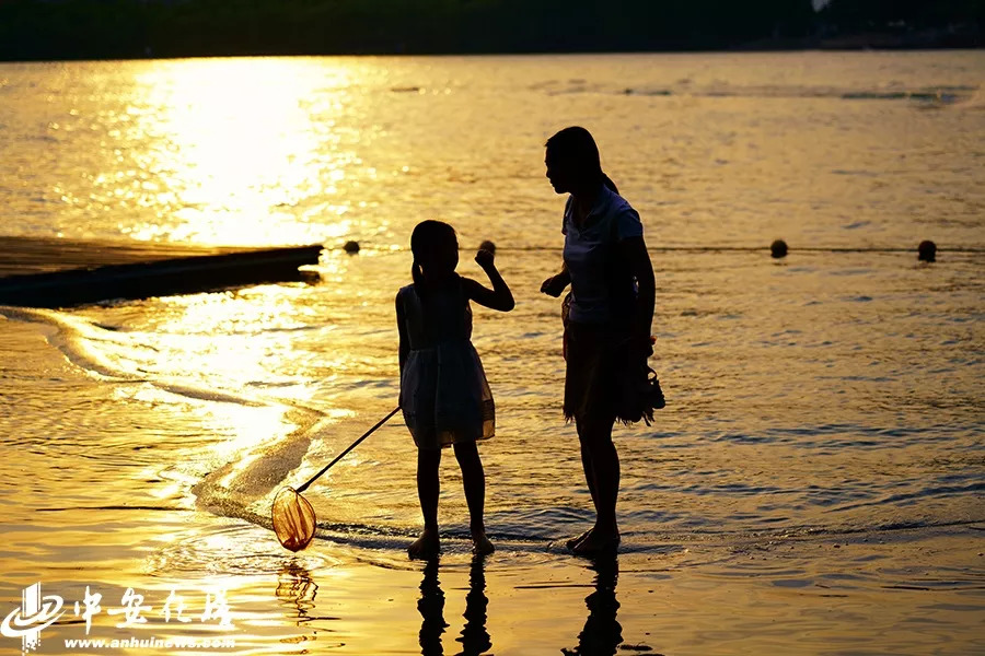 镜头里的初夏有多美好,镜头里的夏至