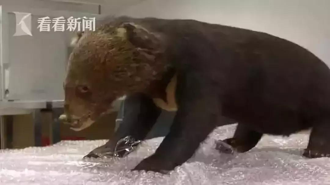 朋友圈代购真实案例,代购究竟有多暴利