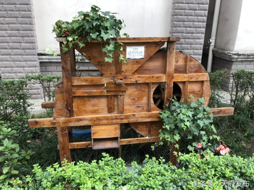 升级服务！万安街道创新探索社区治理新路径，提升居民幸福感