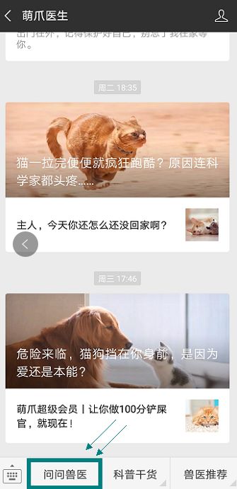 猫咪总喜欢在角落尿尿怎么办,猫咪最近随便尿尿是怎么了