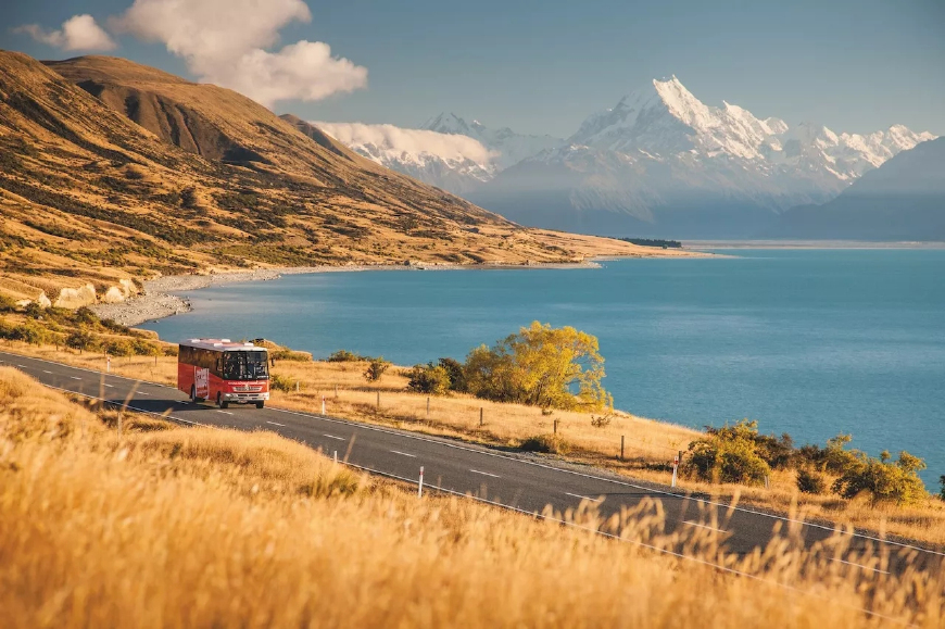 新西兰签证办理流程图片高清大图,新西兰网签费用多少钱