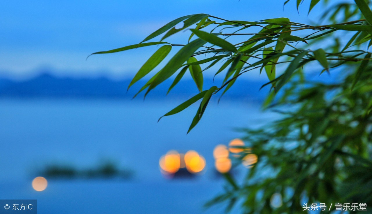 让心情放松的歌曲排名,心情放松缓解压力的音乐