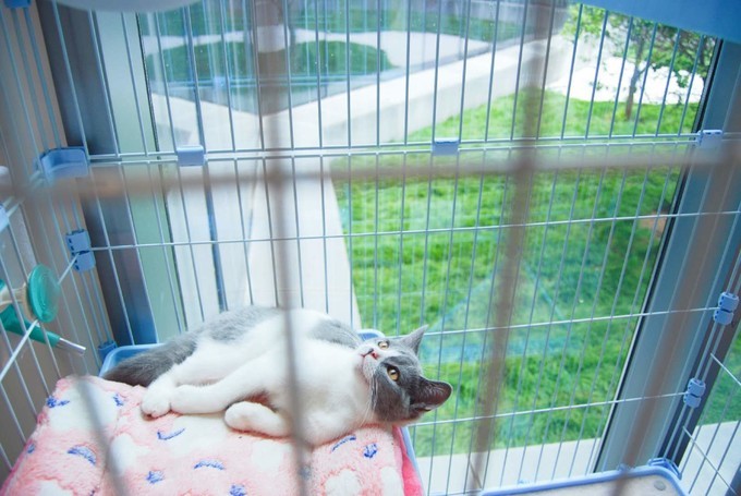 秦皇岛南戴河遛娃好去处,秦皇岛北戴河南戴河亲子游