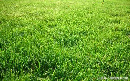 日本街头常见字,容易误解的日本汉字词