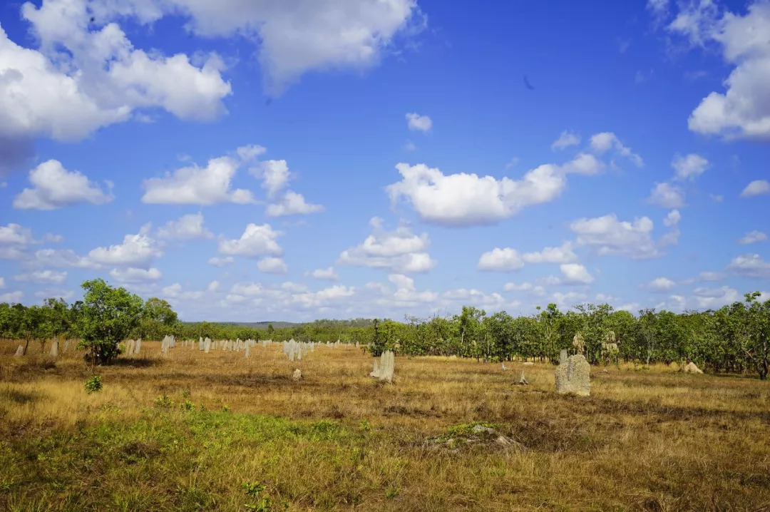 国内有直飞澳洲黄金海岸的航班吗,深圳飞澳洲要几个小时