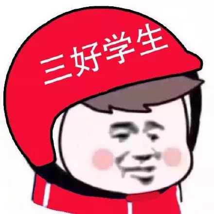 荷兰猪笼子脚垫有什么用,荷兰猪脚垫要多大孔洞