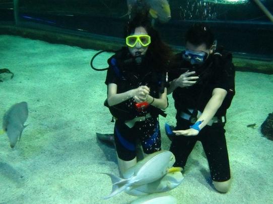 北京工体富国海底世界儿童免票么,去看北京海洋馆富国海底世界