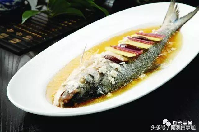 汕头南澳金钱鮸,最贵鮸鱼