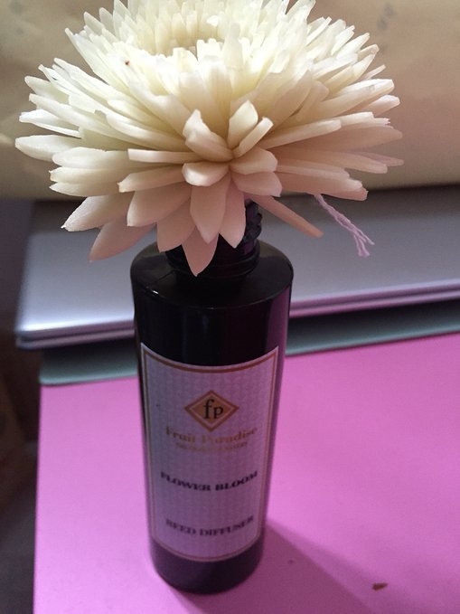 和闺蜜两个人海南旅游攻略,和闺蜜去海口旅行攻略