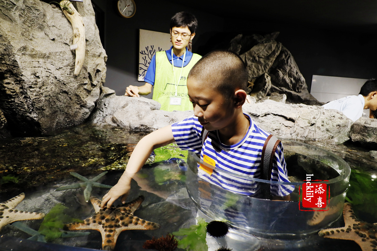 丽星邮轮双子星日本游,亲子游轮旅行攻略